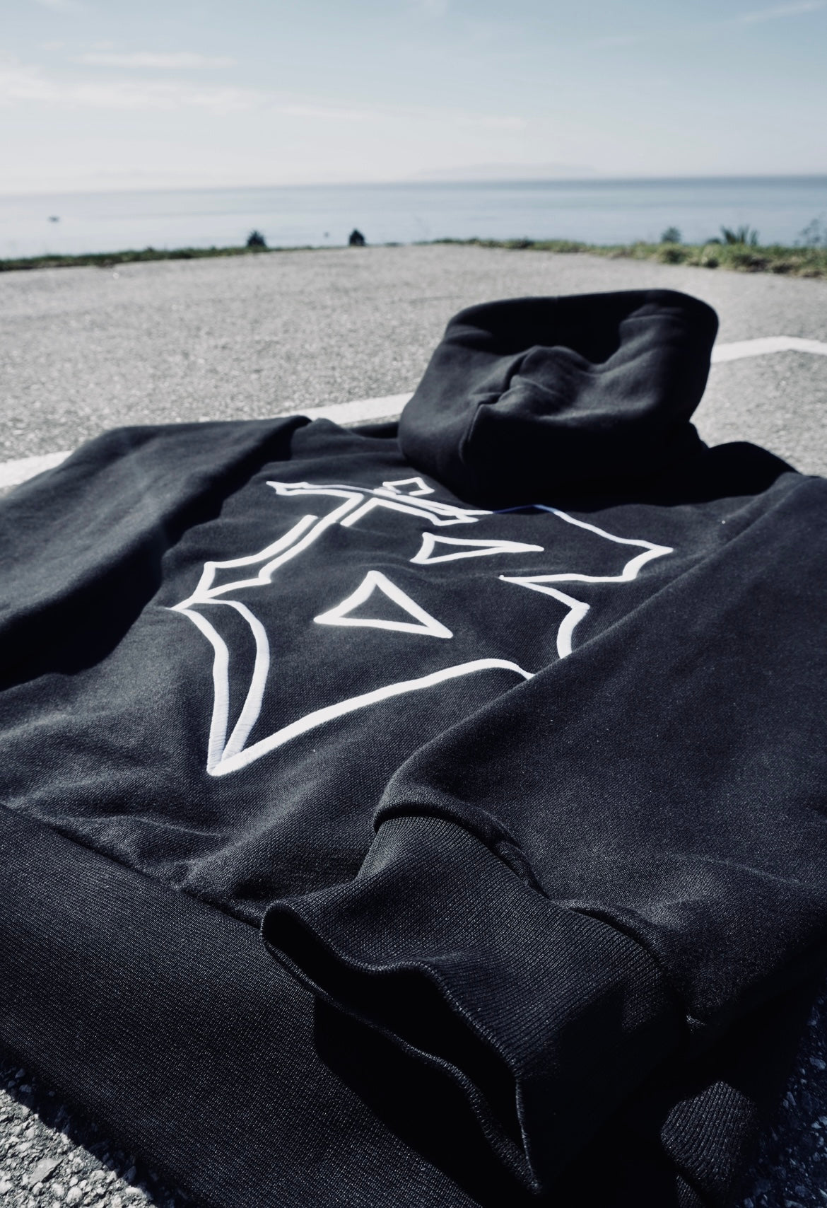 The "Pprometheus" Hoodie